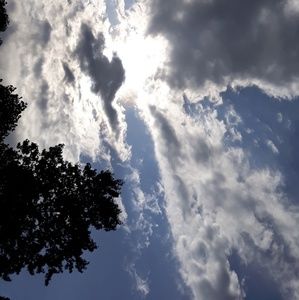 Meet your Posher, Sujey